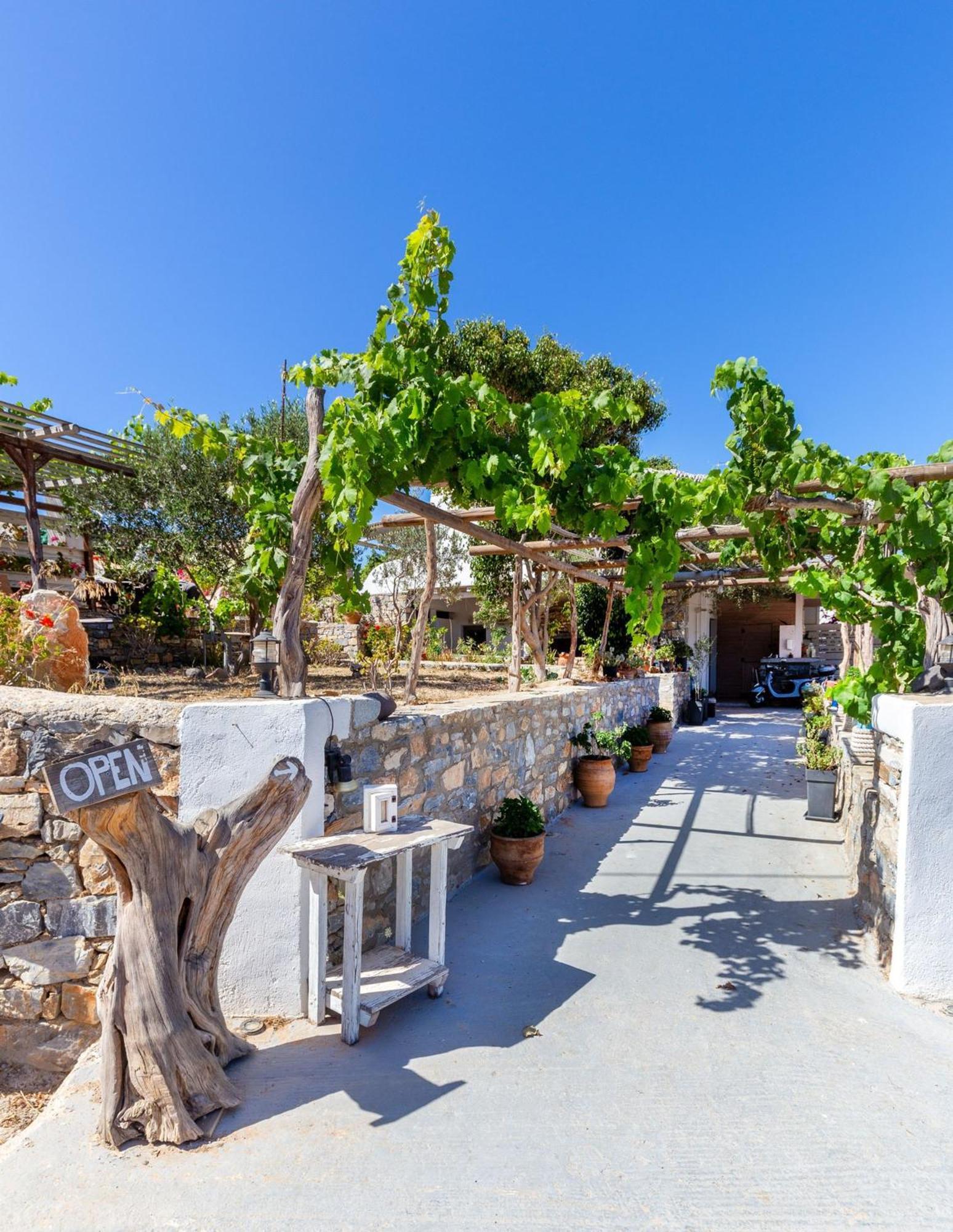 Harama Hotel Schinousa Schoinoussa Dış mekan fotoğraf