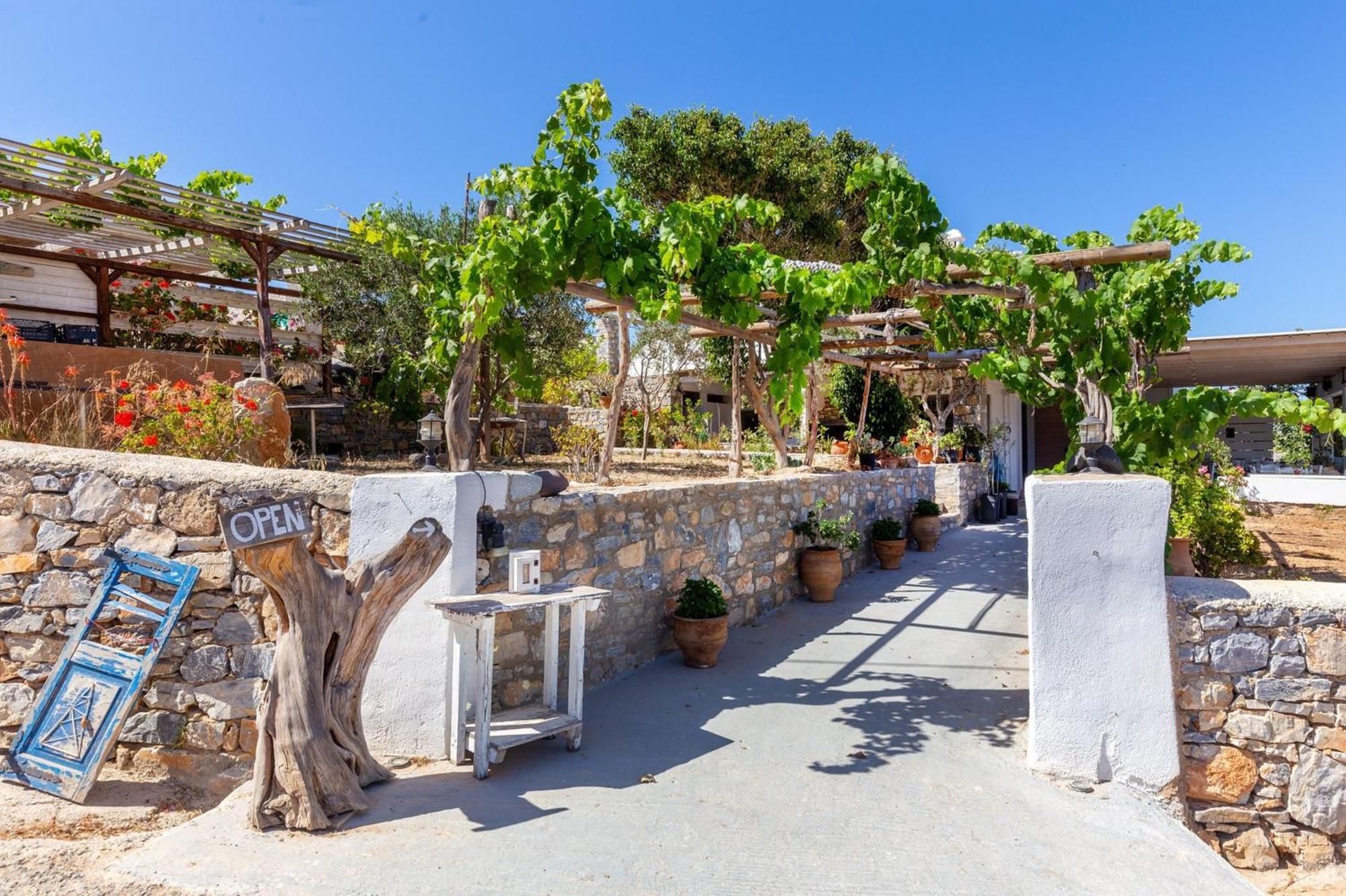 Harama Hotel Schinousa Schoinoussa Dış mekan fotoğraf